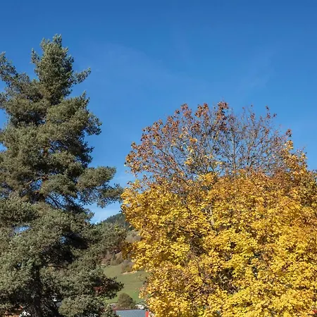 Apartman Kitzbichl *