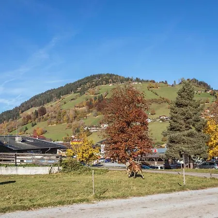 Kitzbichl Appartement Niederau